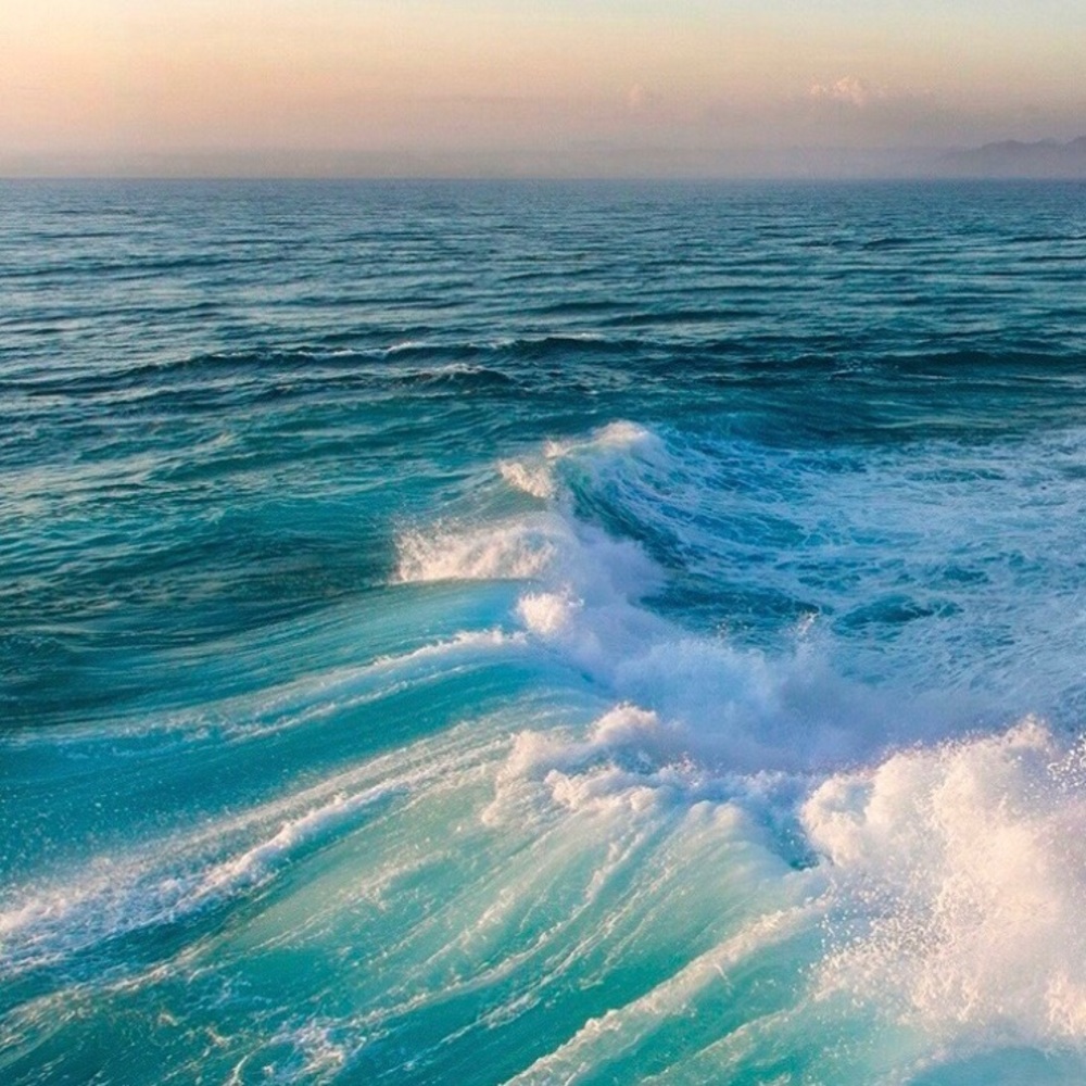 Meet your Posher, Campbell